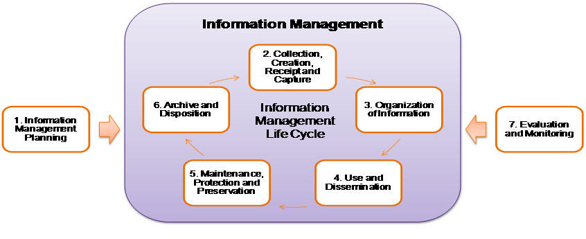 Graphic depicting information management life cycle